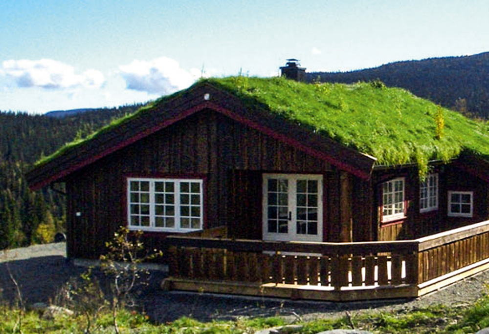 Gröna