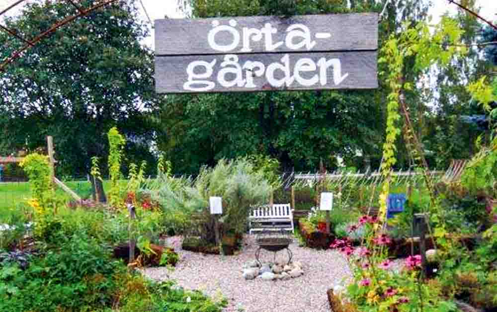 Hedvigs Trädgård