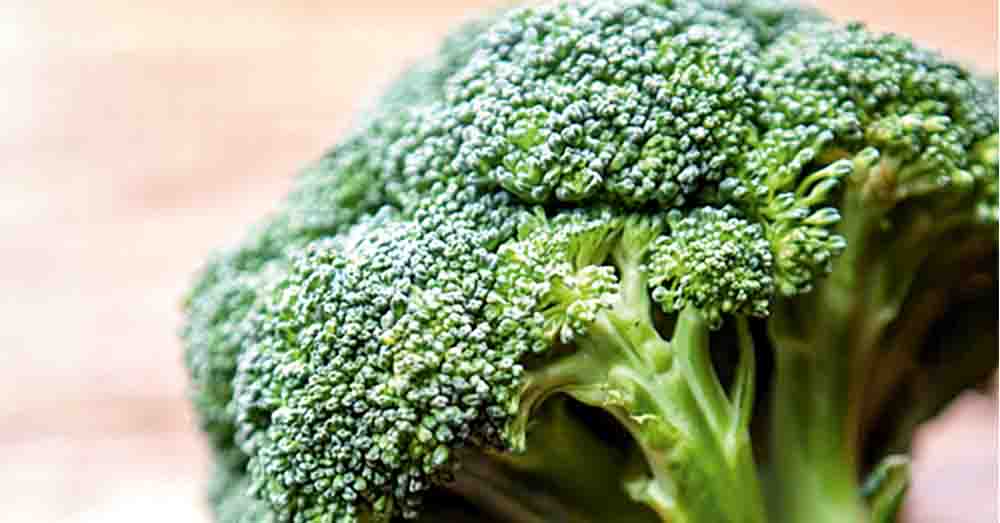 Broccoli