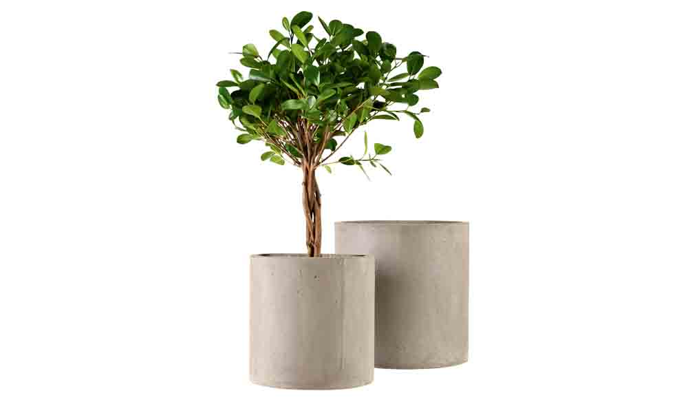 Cementkrukor från Claes Ohlson