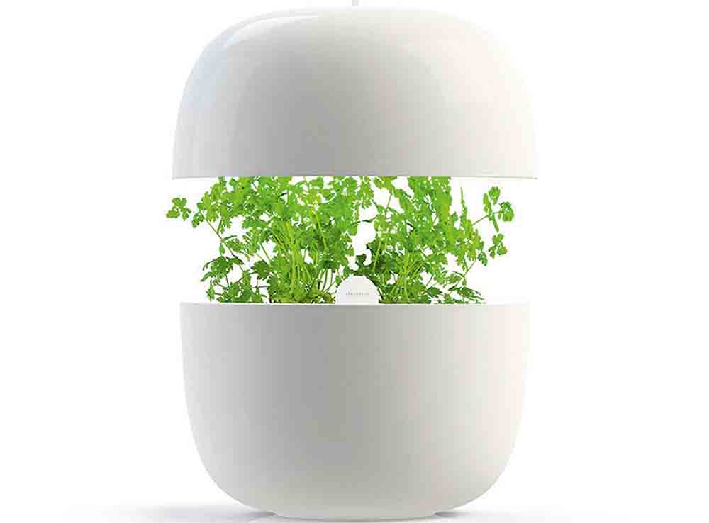 Plantui 3 Garden