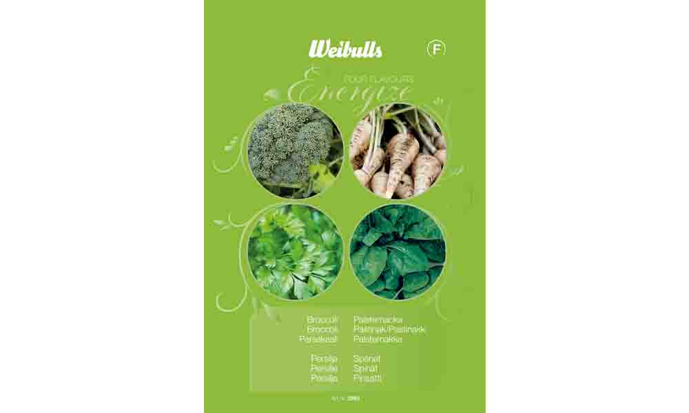 Four Flavours Energize