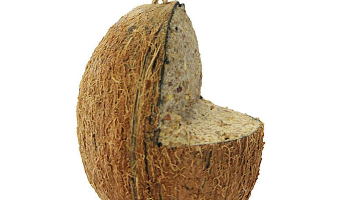 Kokosnöt med upphängning
