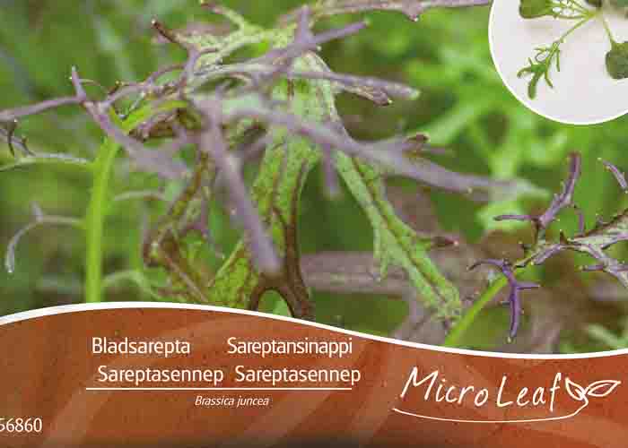 Micro Leaf