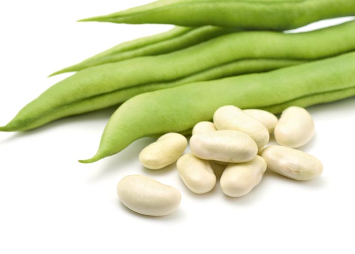 Cannellino