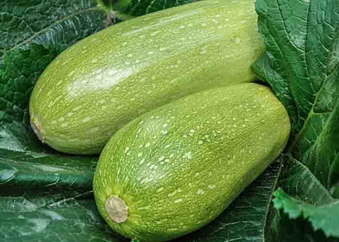 Squash Genovese