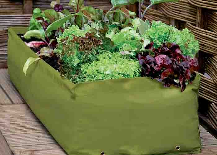 Growbag Multi