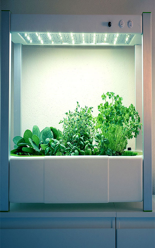 6-wexthuset-odlingsstation-greenunit