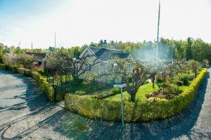 Evas kolonilott i Bromma