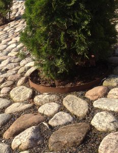Plantera träd är speciellt